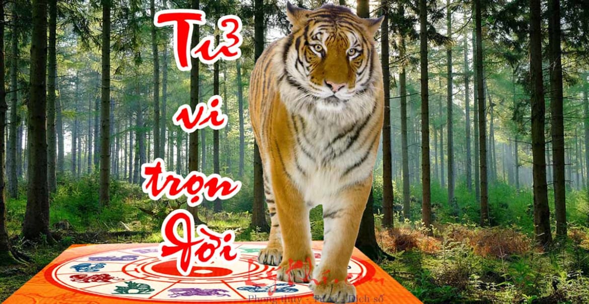 Tử vi trọn đời nhâm dần nam mạng