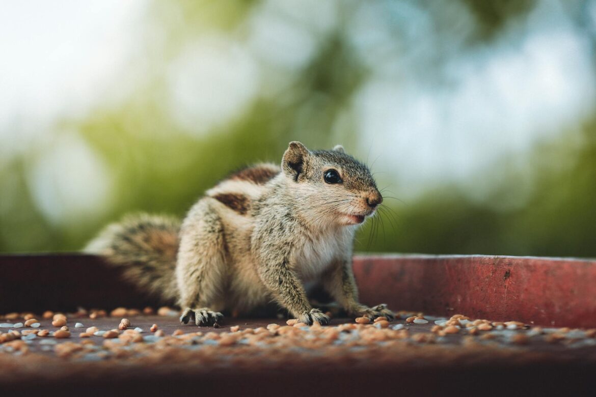 Phân tích tướng số khuôn mặt