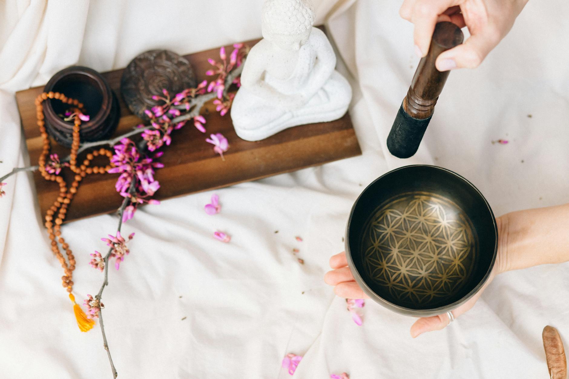 Giới thiệu: Phật Pháp – Con Đường Chuyển Hóa Khổ Đau và Kiến Tạo Hạnh Phúc