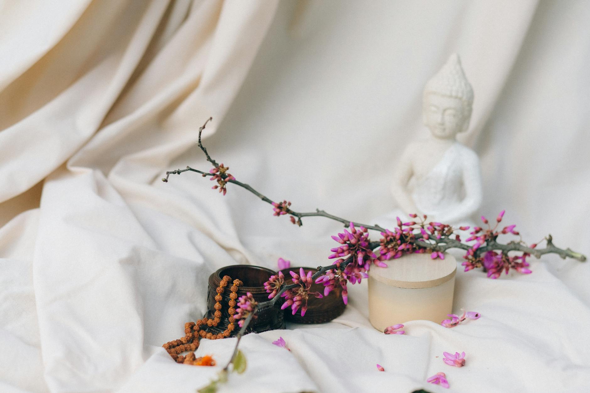 Tại Sao Phật Học Lại Quan Trọng Trong Thế Giới Hiện Đại?
