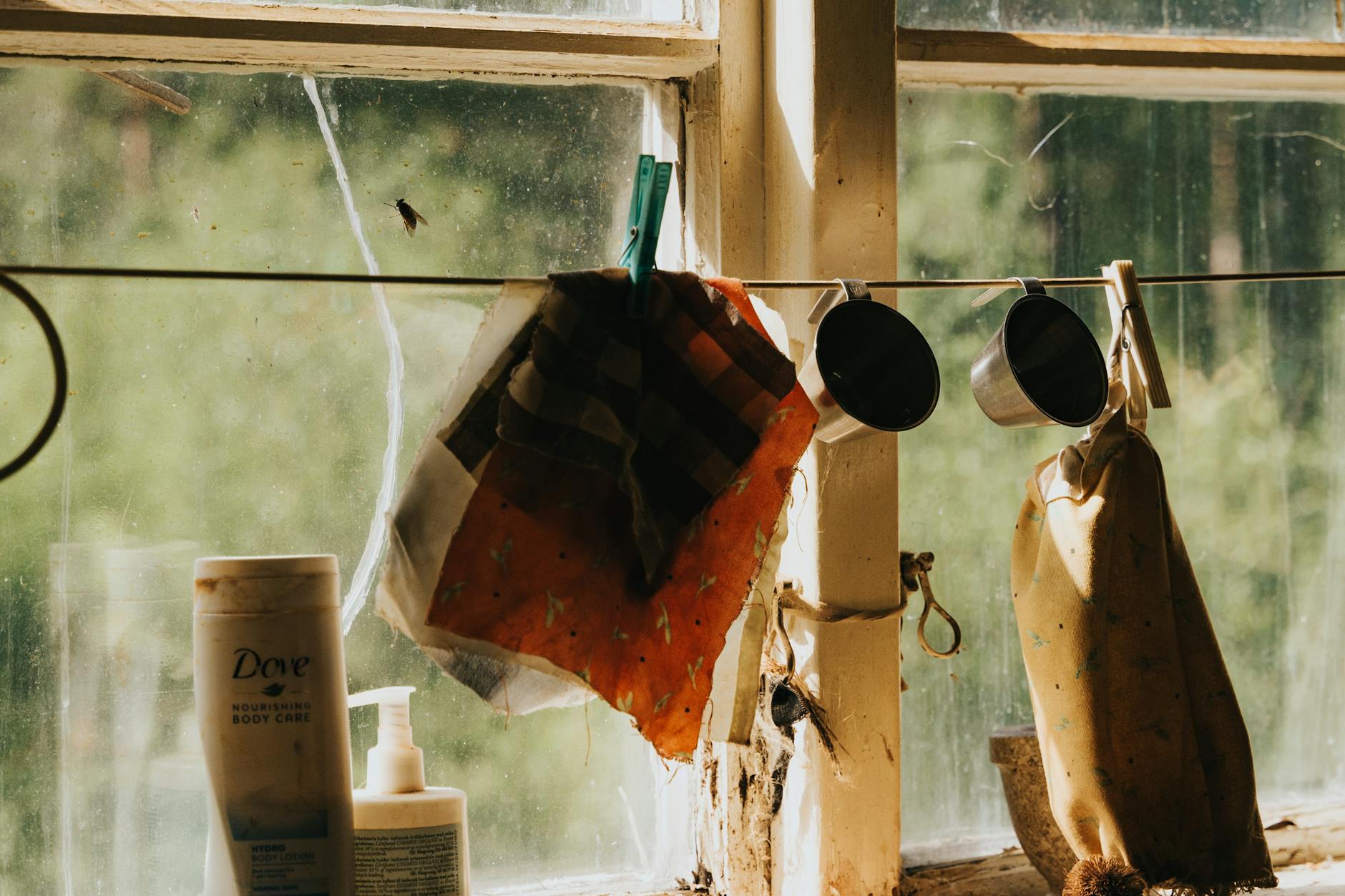 Những Câu Chuyện Tâm Linh Giản Dị: Ánh Sáng Trong Cuộc Sống Hàng Ngày