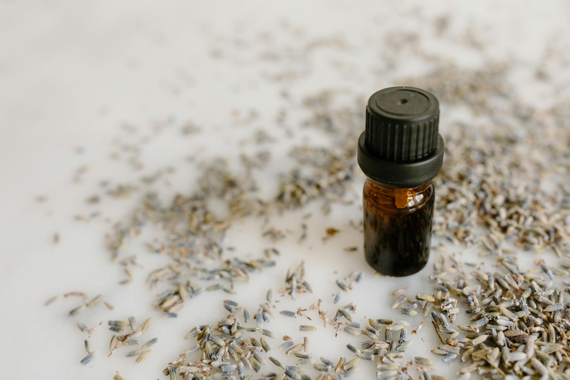 Từ Thiện: Hạt Giống Của An Lạc