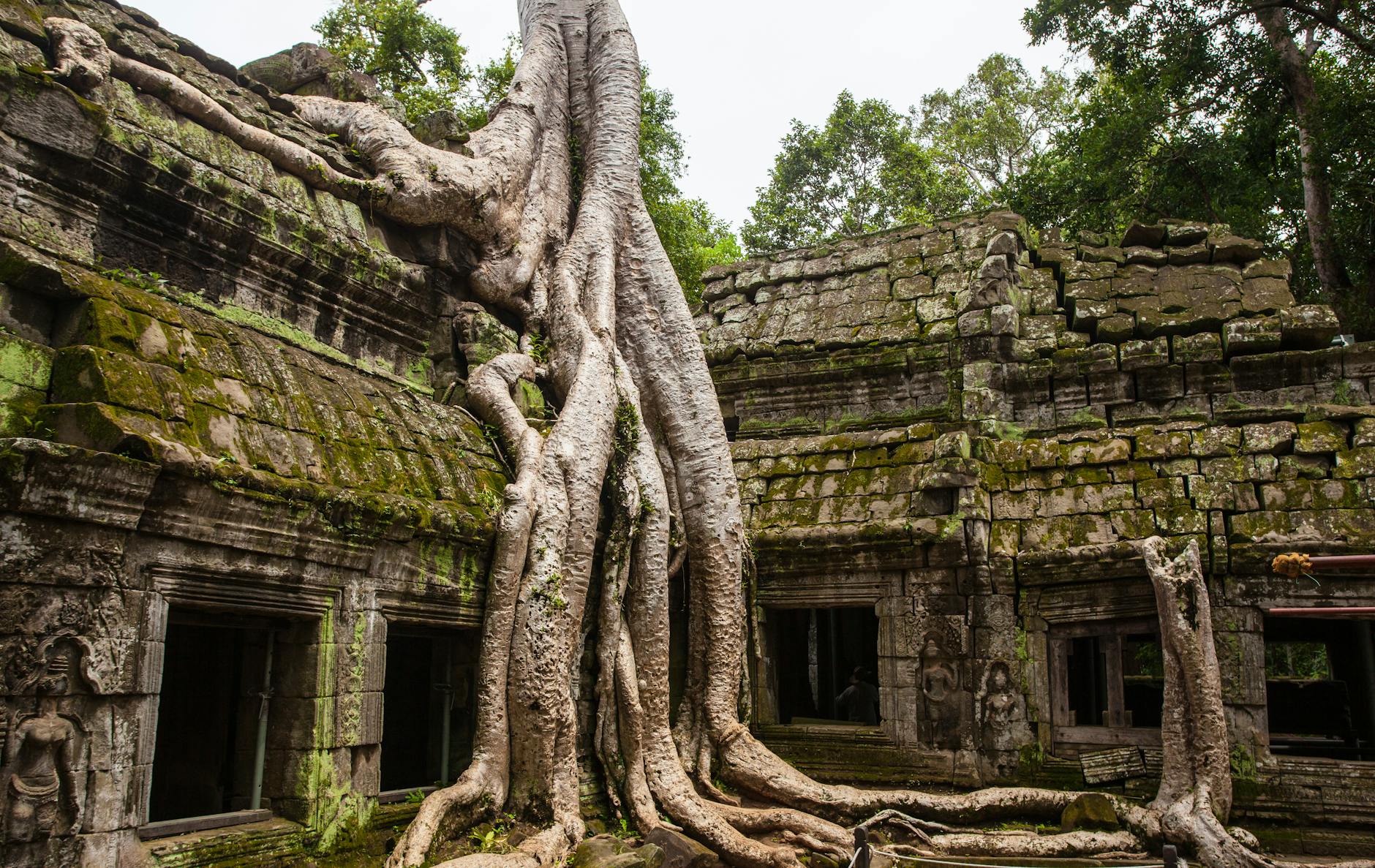 Lịch Sử Hình Thành và Phát Triển của Phật Giáo