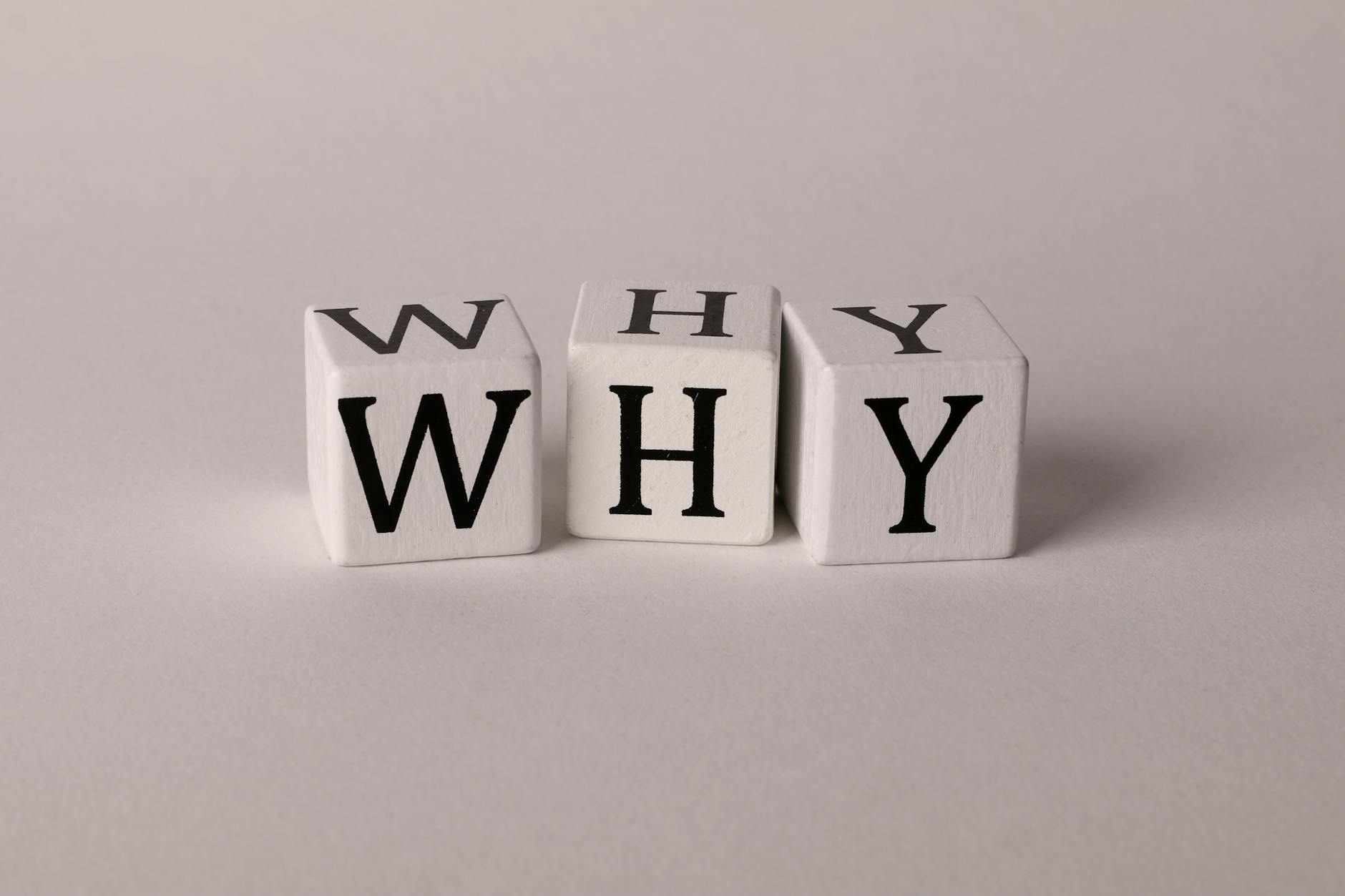 Tại sao nên học Phật học?