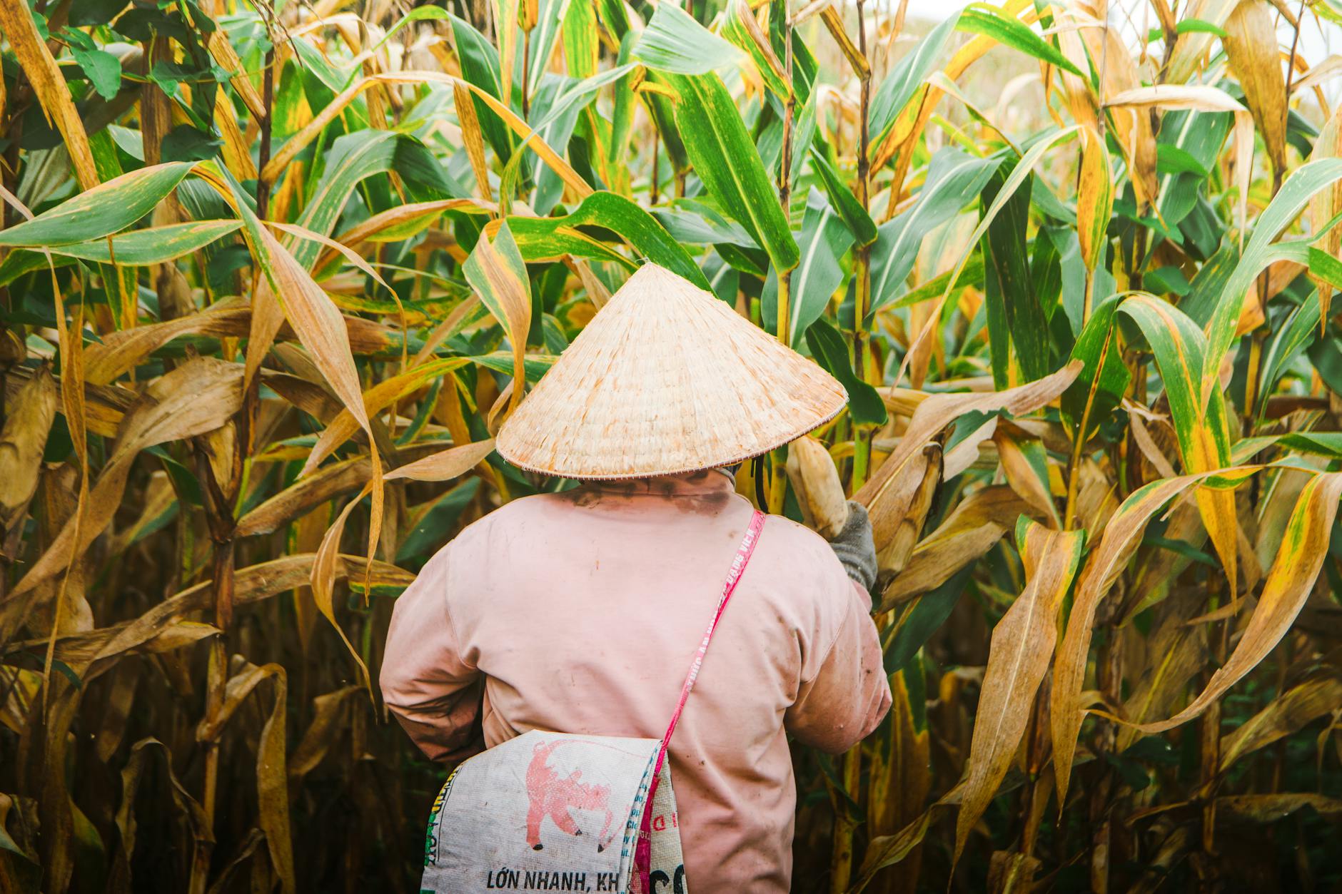 Cơ Chế Vận Hành của Thiện Ác Báo Ứng