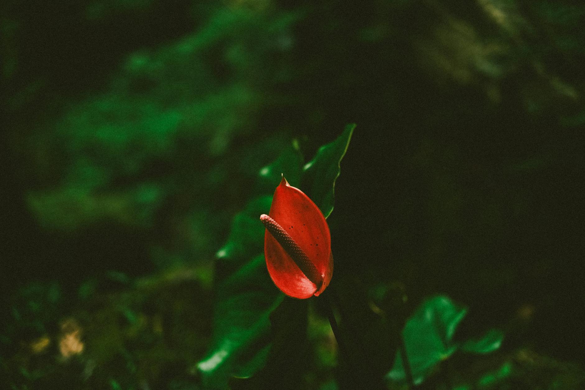 Đạo Lý Nhân Sinh: Khai Mở Trí Tuệ, Sống An Lạc 10 I. Đạo Lý Nhân Sinh Là Gì?