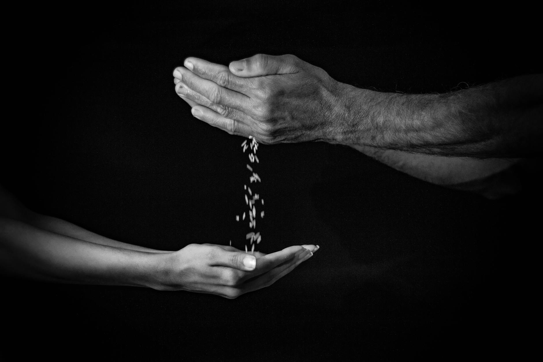 Những Giáo Lý Cốt Lõi Của Phật Học Và Ứng Dụng Trong Cuộc Sống Hiện Đại