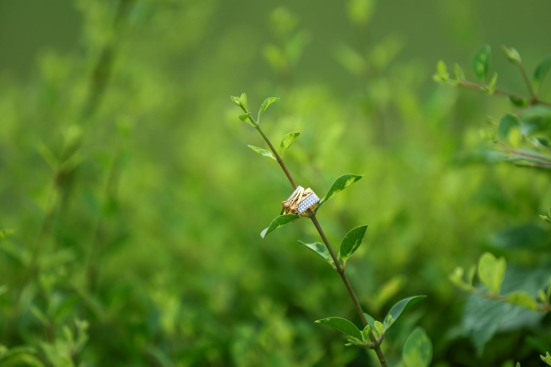 Phong Thủy Ngày Cưới: Những Yếu Tố Cần Quan Tâm
